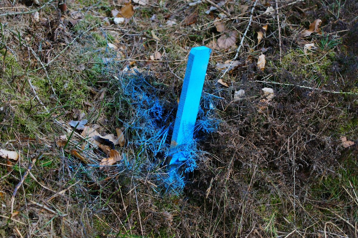 DSC07024.jpg